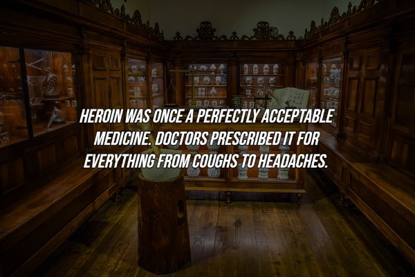 History Facts (16 pics)