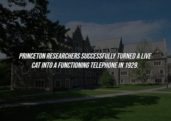 History Facts (16 pics)