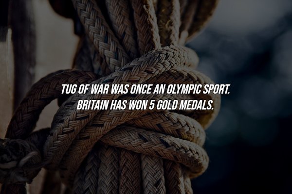 History Facts (16 pics)
