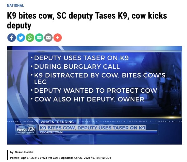 These Are Real News (29 pics)