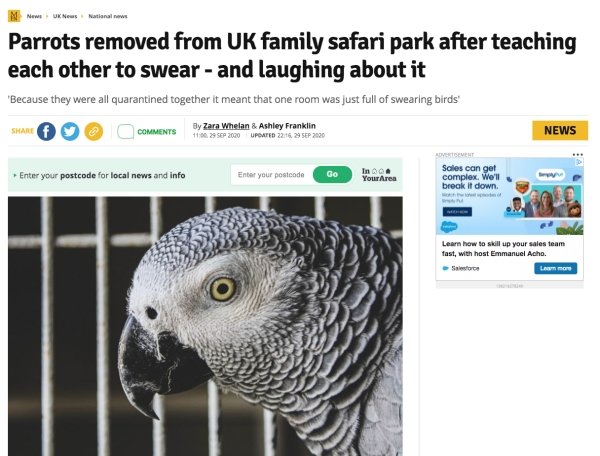 These Are Real News (29 pics)