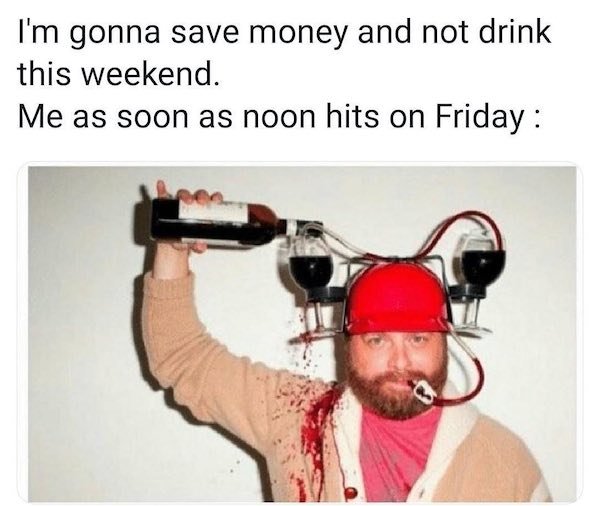 Alcohol Memes And Pictures (50 pics)