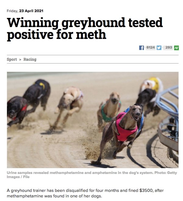 These Are Real News (29 pics)