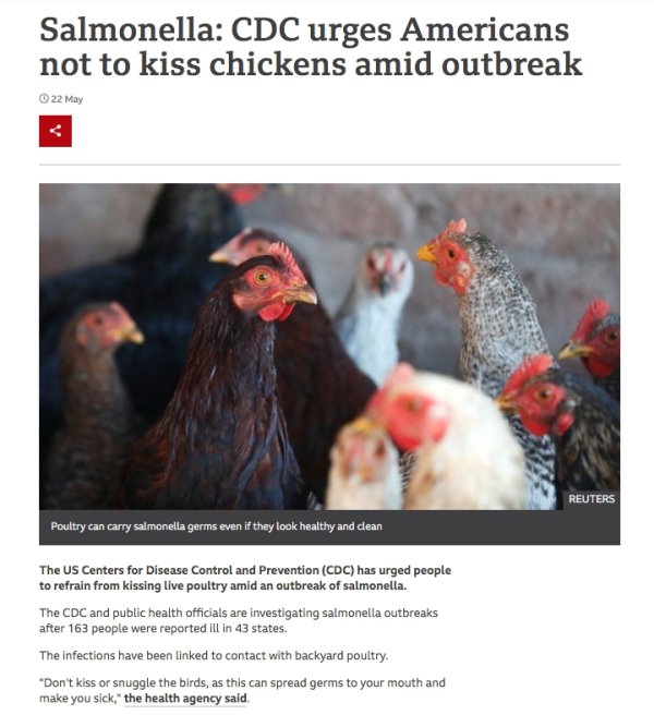 These Are Real News (29 pics)