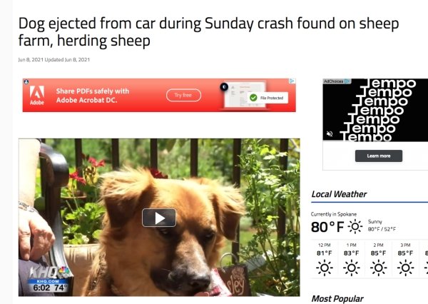 These Are Real News (29 pics)