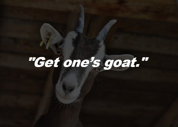 The Origins Of Common Phrases (12 pics)