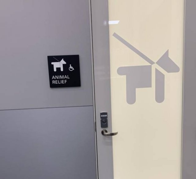 Specific Things In Different Countries (15 pics)