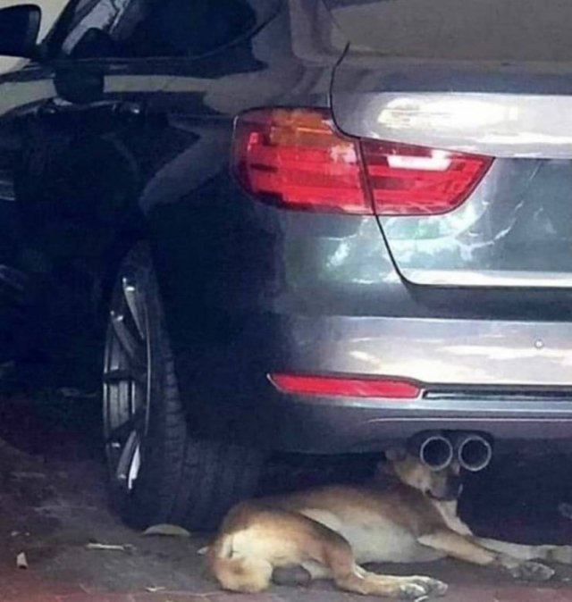 Acid Picdump 2 (45 pics)