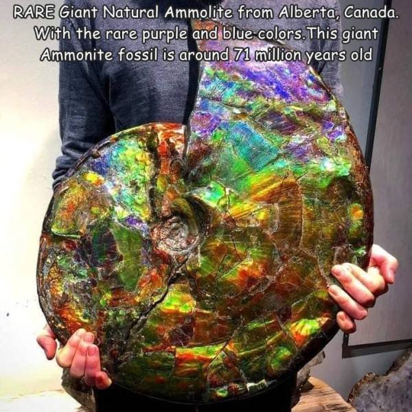 Acid Picdump 2 (45 pics)