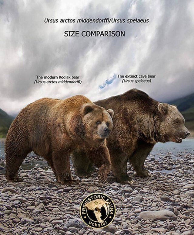 Extinct Prehistoric Animals Vs. Modern Animals (37 pics)