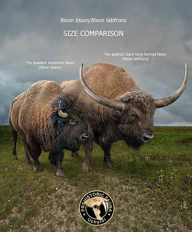 Extinct Prehistoric Animals Vs. Modern Animals (37 pics)