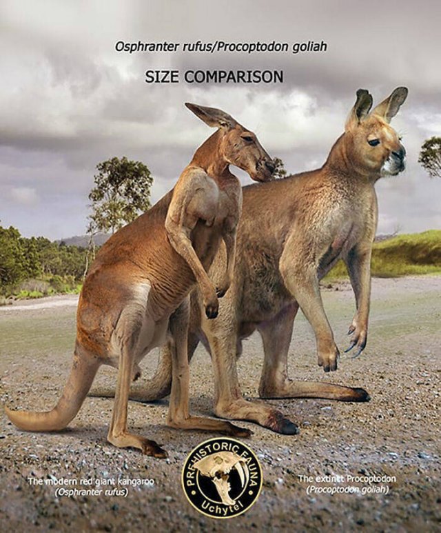 Extinct Prehistoric Animals Vs. Modern Animals (37 pics)