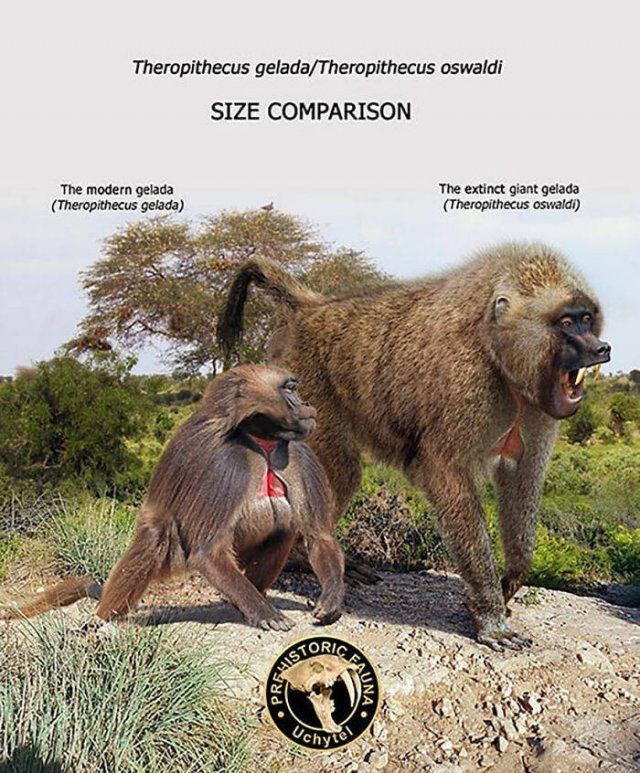 Extinct Prehistoric Animals Vs. Modern Animals (37 pics)