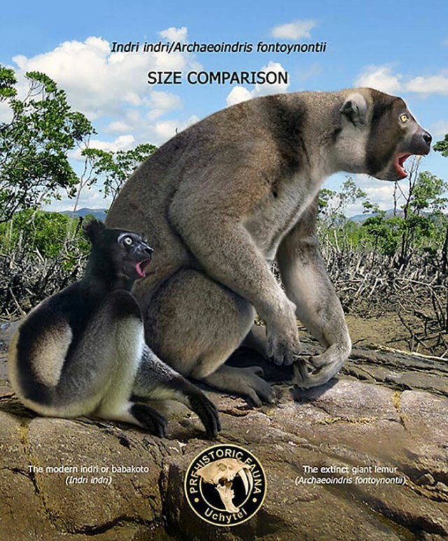 Extinct Prehistoric Animals Vs. Modern Animals (37 pics)