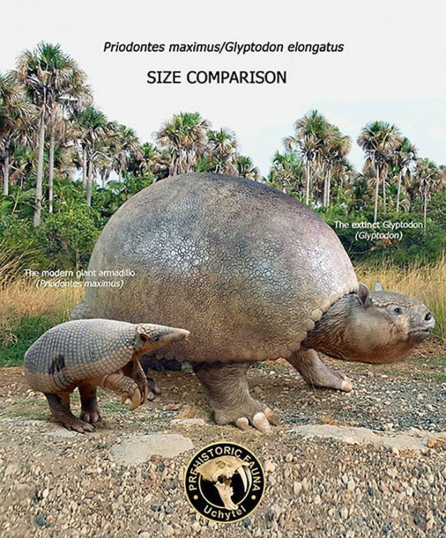 Extinct Prehistoric Animals Vs. Modern Animals (37 pics)