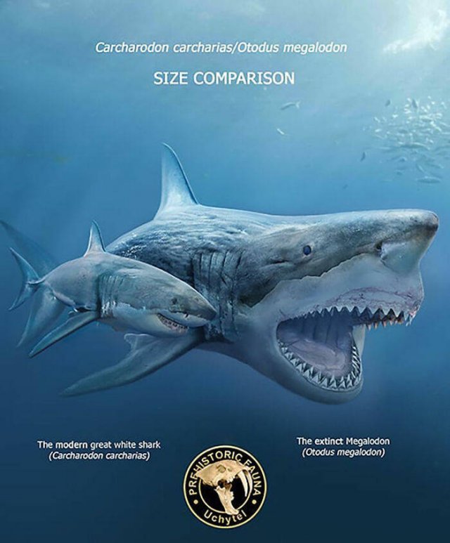 Extinct Prehistoric Animals Vs. Modern Animals (37 pics)