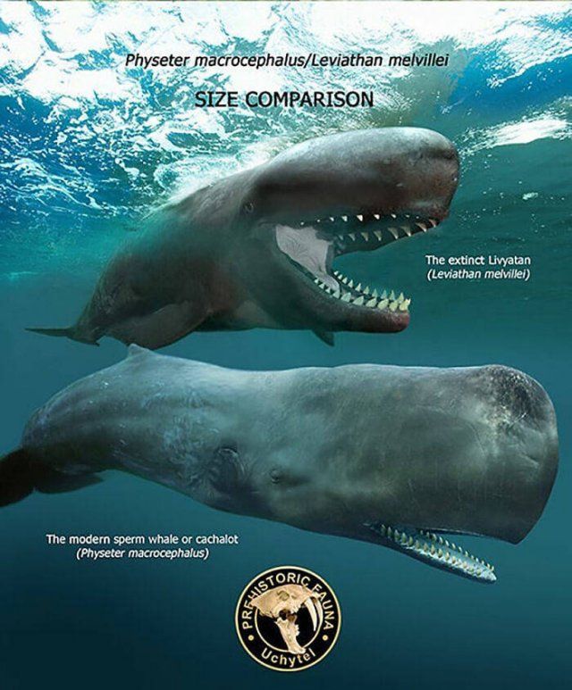 Extinct Prehistoric Animals Vs. Modern Animals (37 pics)