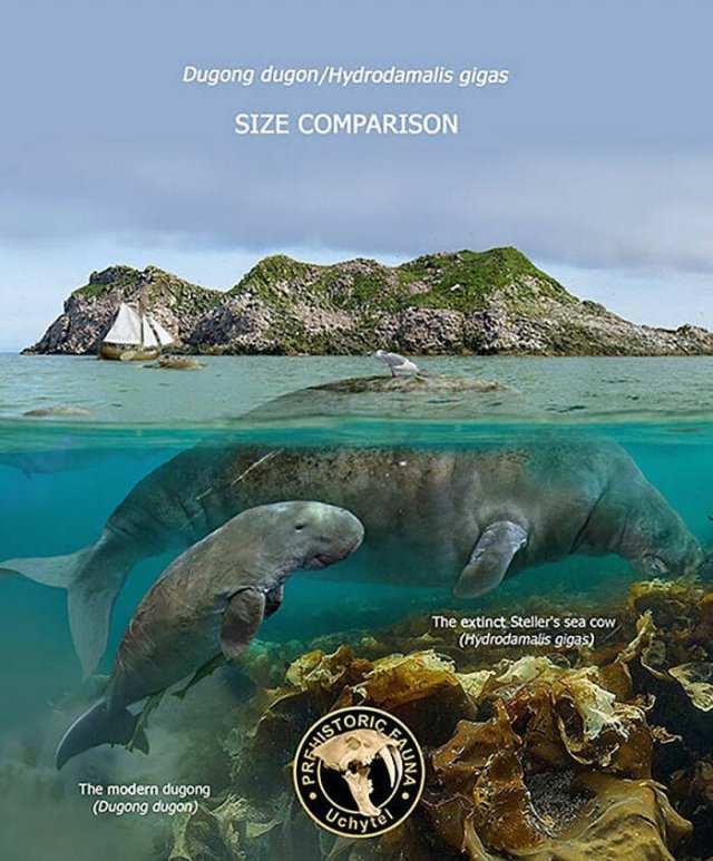 Extinct Prehistoric Animals Vs. Modern Animals (37 pics)