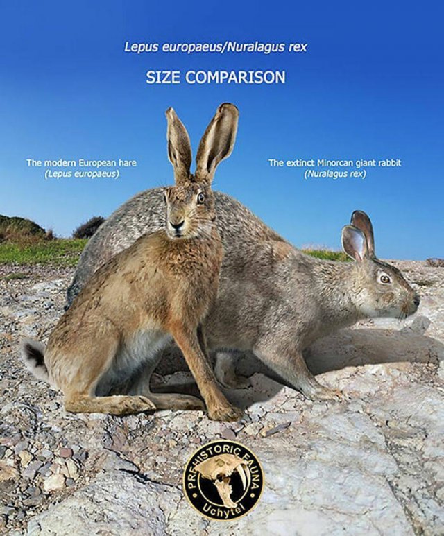 Extinct Prehistoric Animals Vs. Modern Animals (37 pics)