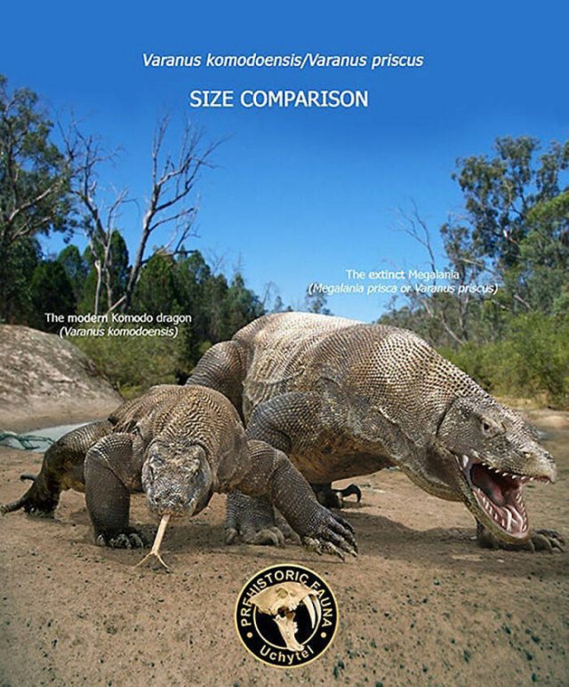 Extinct Prehistoric Animals Vs. Modern Animals (37 pics)