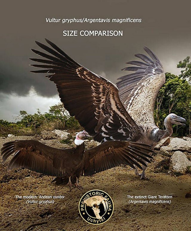 Extinct Prehistoric Animals Vs. Modern Animals (37 pics)