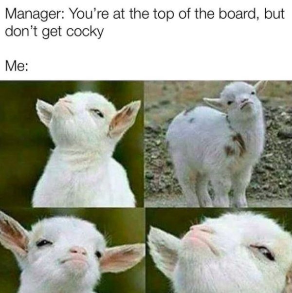 Salesmen Memes (35 pics)