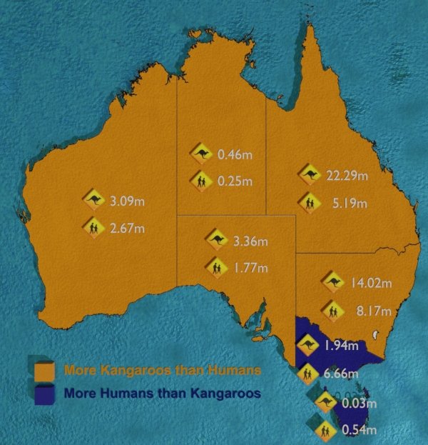 Interesting Data (27 pics)
