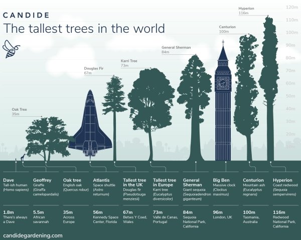 Interesting Data (27 pics)