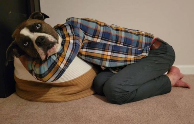 Look Twice (29 pics)