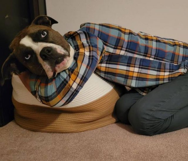 Look Twice (29 pics)