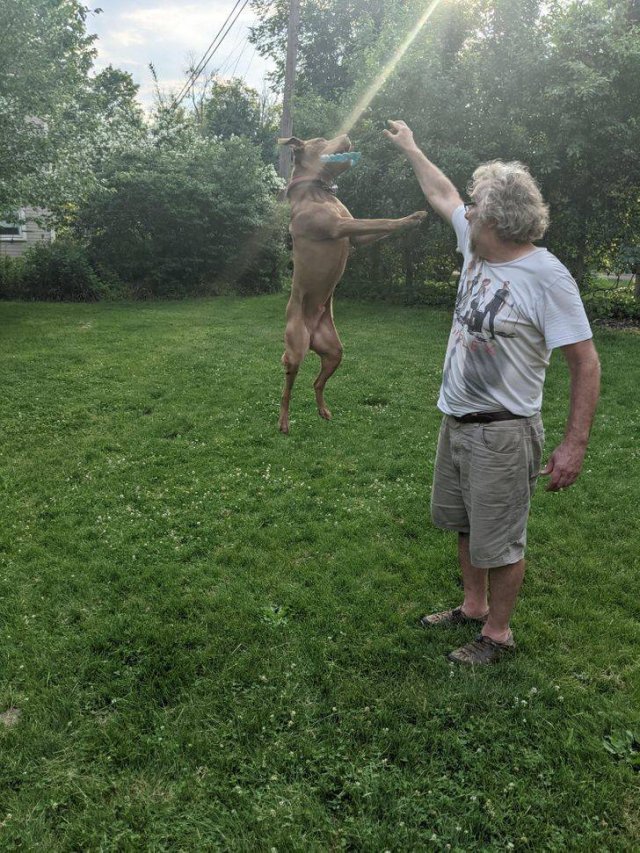 Look Twice (29 pics)