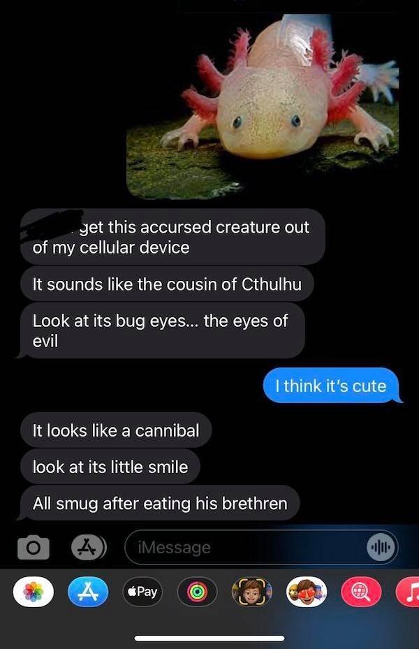 Funny Comments (27 pics)