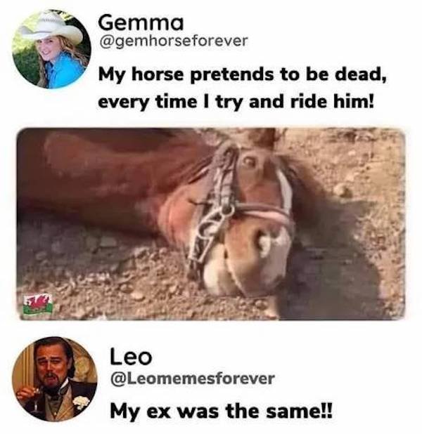 Dirty Humor (35 pics)