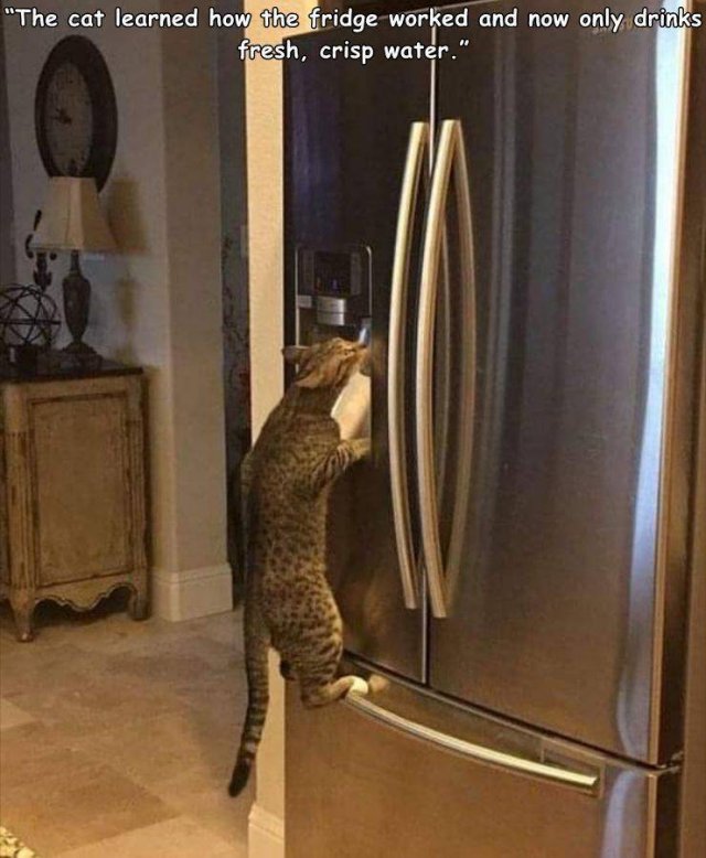 Acid Picdump 2 (78 pics)