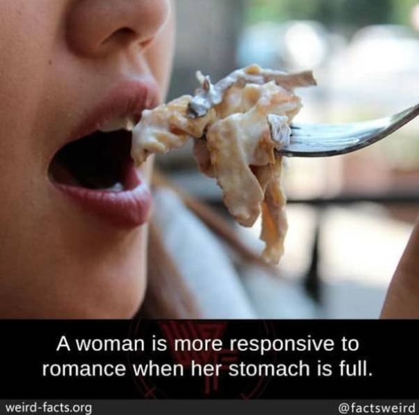 Interesting Facts (49 pics)