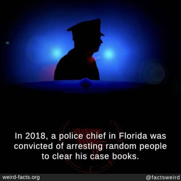 Interesting Facts (49 pics)