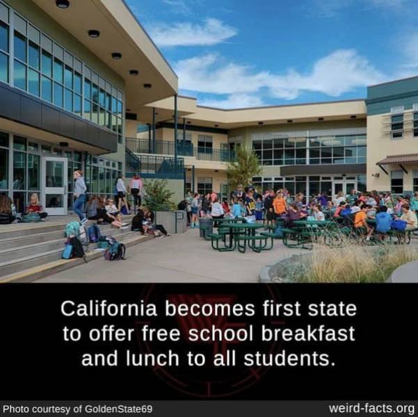 Interesting Facts (49 pics)