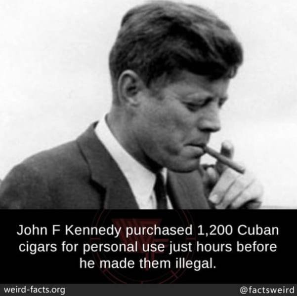 Interesting Facts (49 pics)