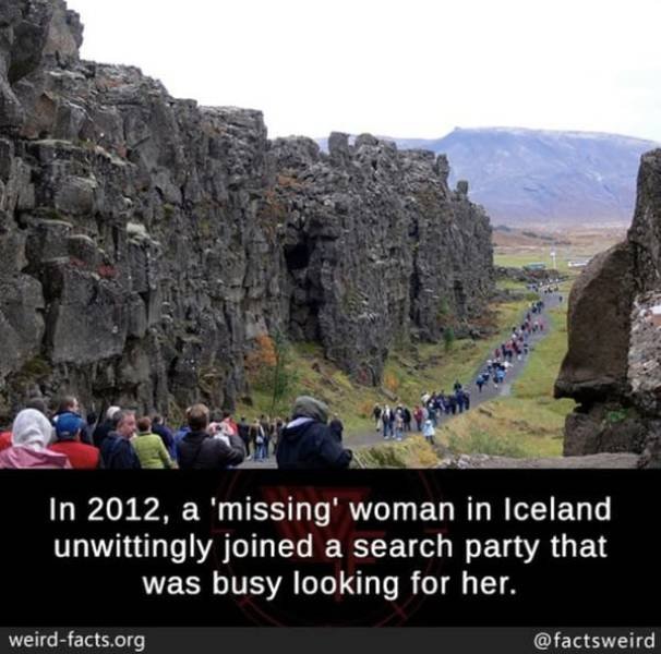 Interesting Facts (49 pics)