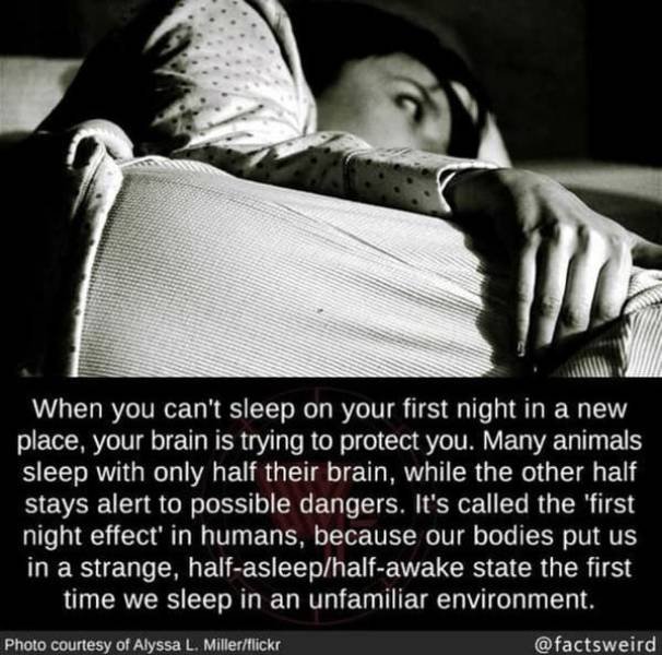 Interesting Facts (49 pics)
