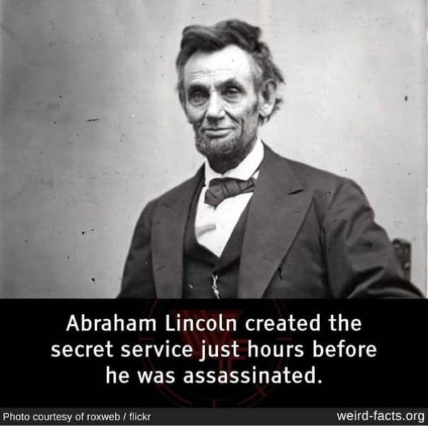 Interesting Facts (49 pics)