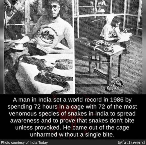 Interesting Facts (49 pics)