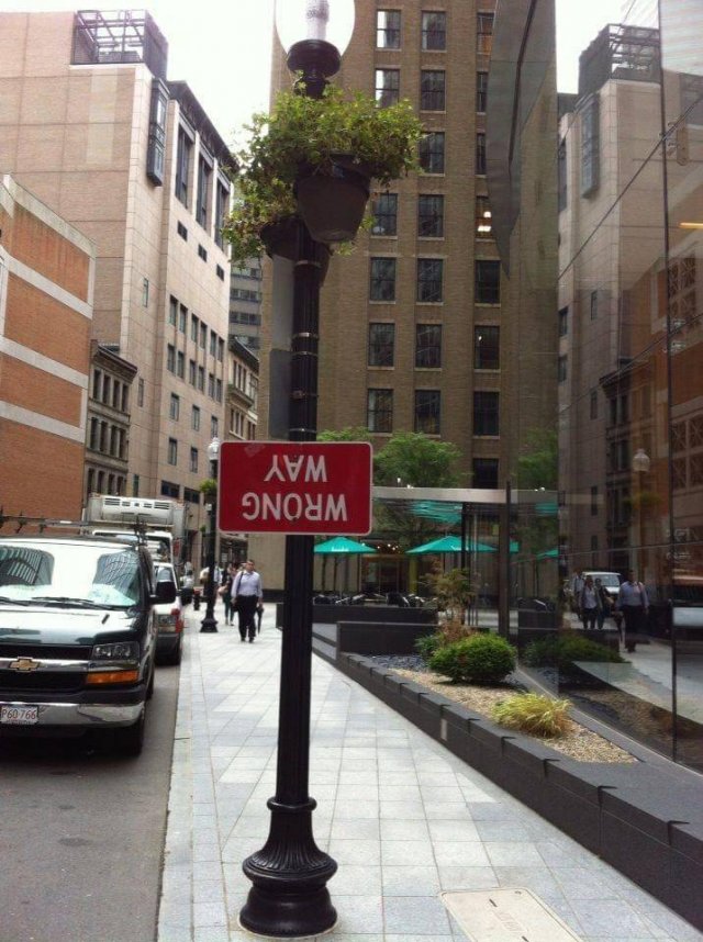 Acid Picdump 2 (78 pics)
