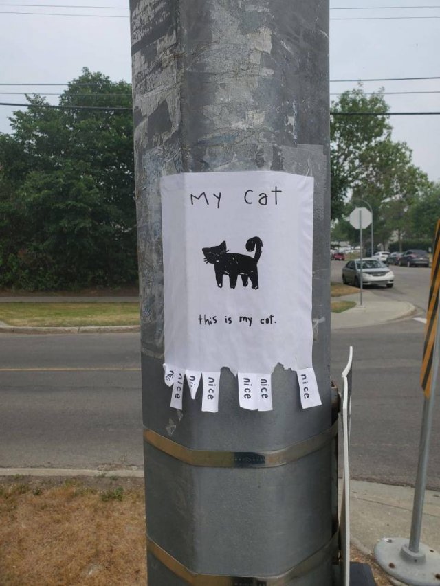 Acid Picdump 2 (78 pics)