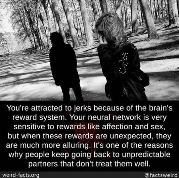 Interesting Facts (49 pics)