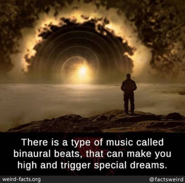 Interesting Facts (49 pics)