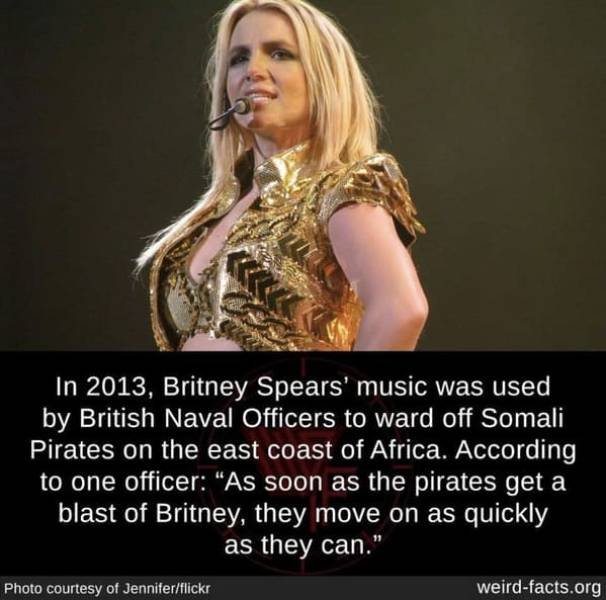 Interesting Facts (49 pics)