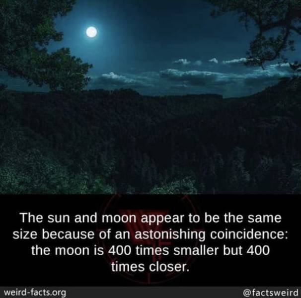 Interesting Facts (49 pics)