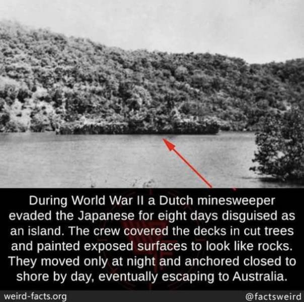 Interesting Facts (49 pics)