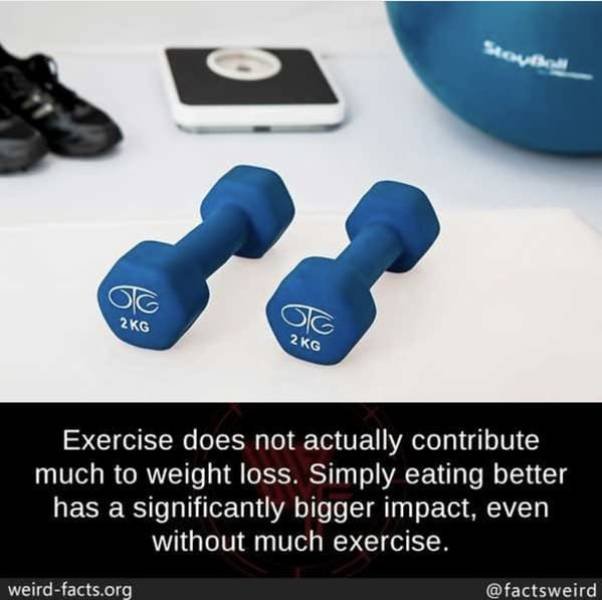 Interesting Facts (49 pics)